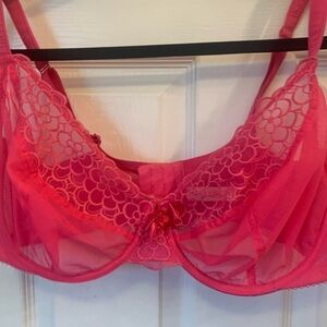 New Lane Bryant bra on hot pink size 42 DD new with tags